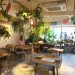 【閉店】体が喜ぶゆるゆるベジタリアンのお店 ～グリーンプラネットカフェ～