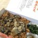 仙台‟真”名物！？三陸の海の恵み かき福のかきめし