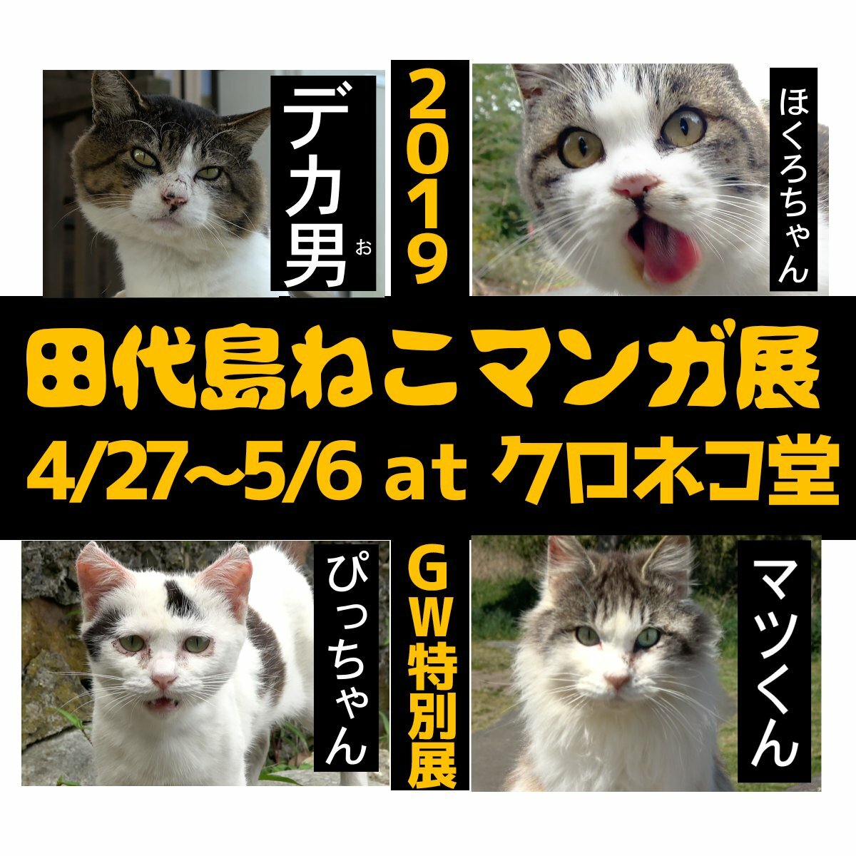 Topic 4 27 猫の島 田代島で ねこマンガ展 が開催 せんだいマチプラ