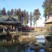 まるで時代絵巻！名取にて神々しい熊野詣～熊野神社～【名取市】