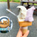 ここでしか食べられない！地元ならではの手作りアイス〜ポラーノ〜【岩手県一関市】