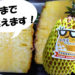 話題の『台湾パイナップル』が日本上陸！芯まで柔らかく甘くてジューシー！