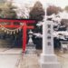 【仙台穴場的桜の名所2022】その1～泉区 賀茂神社～