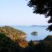 【松島観光】グラデーションの紅葉を堪能♡松島湾を望む『松島四大観』を巡ってみよう♪～幽観・扇谷/松島町～