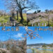 【今週末は満開！】石巻市＆東松島市のお花見名所「日和山公園〜滝山公園」を巡る
